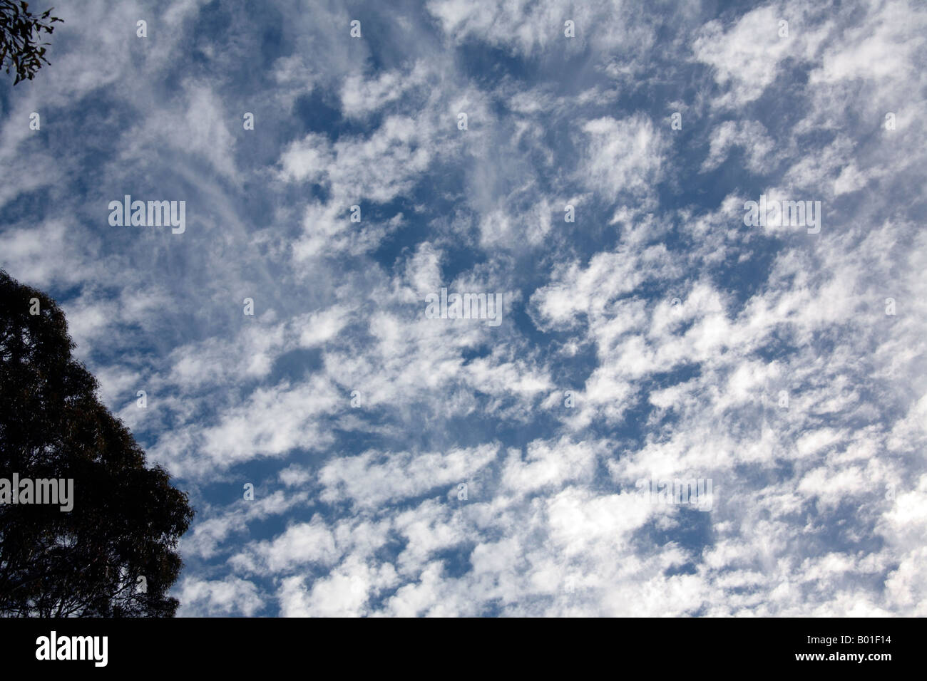 Altocumulus und Cirrus Cloud Stockfoto