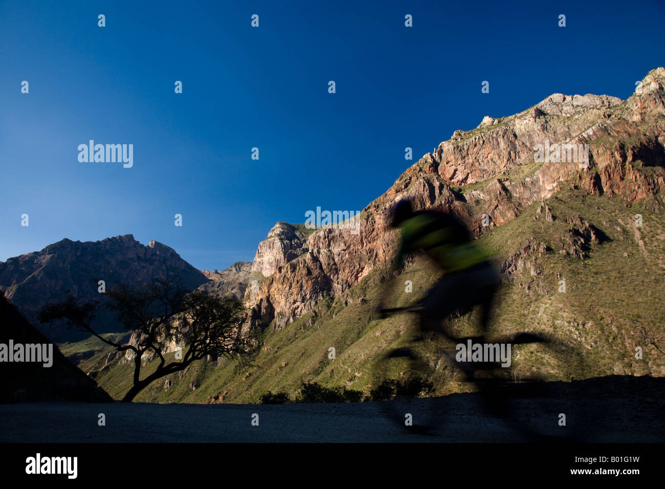 George Boykin Mountain-Bike auf einem Feldweg in den Copper Canyon Gebiet Mexico Stockfoto