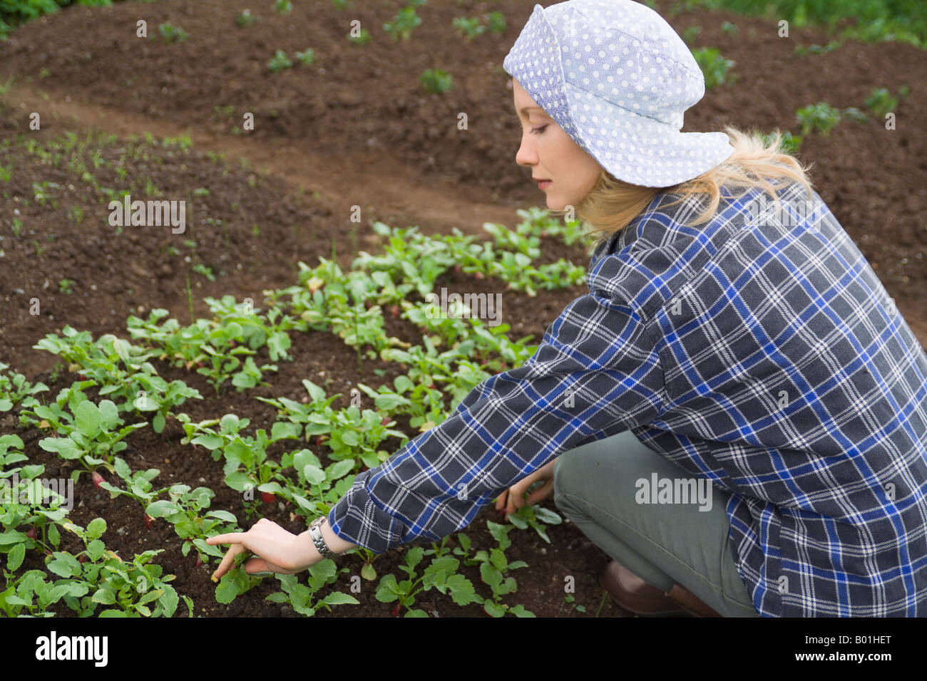 Junge Frau arbeitet in einem Garten. Stockfoto
