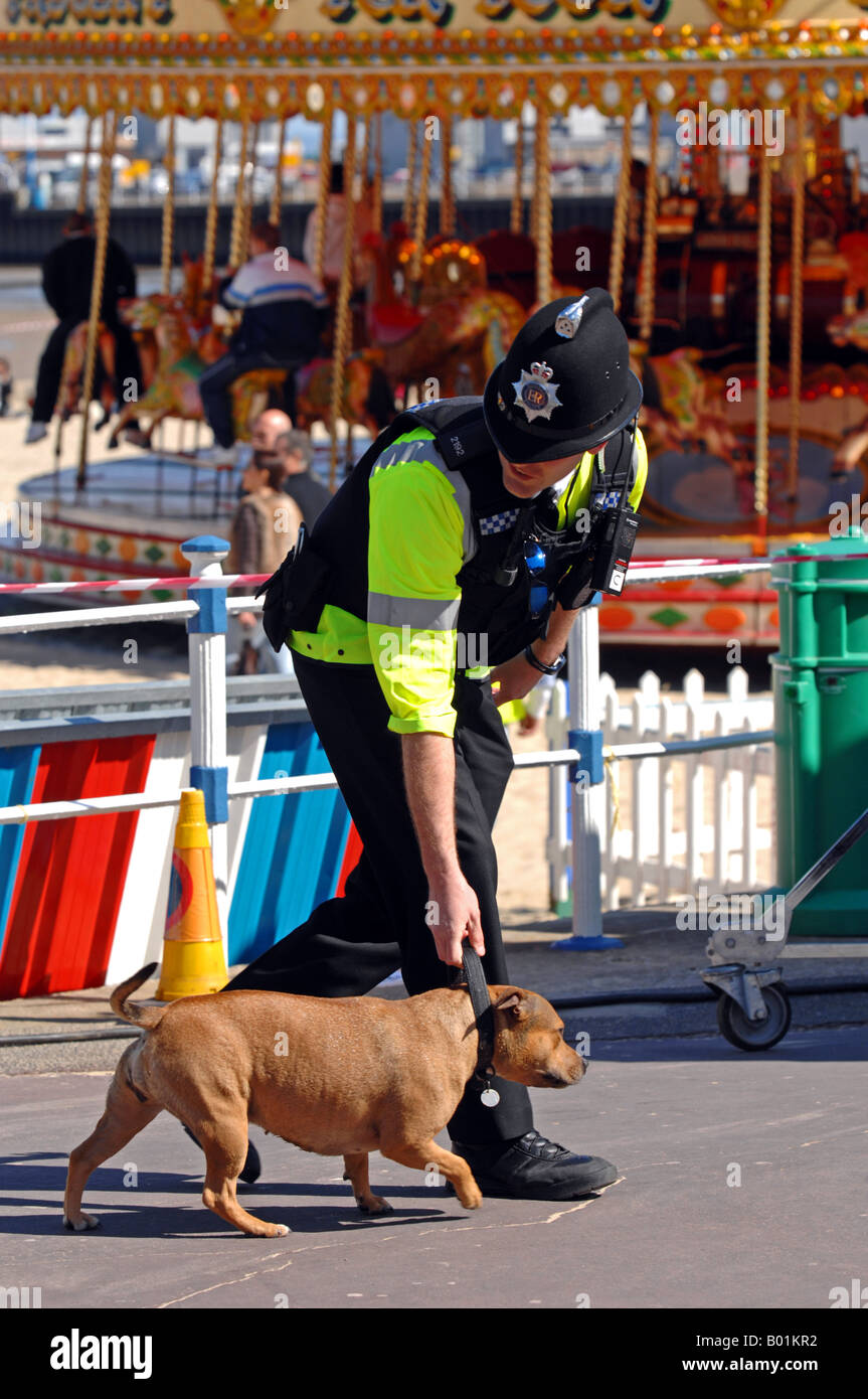 Polizist mit einem streunenden Hund Stockfoto