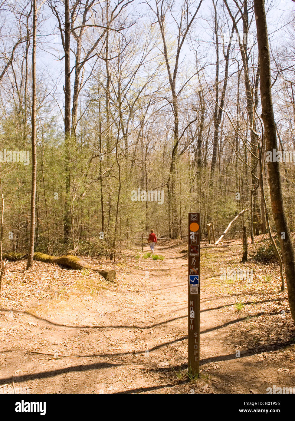 Kaukasische Frau Trail (50-55) Wanderungen am Davidson River Campground Brevard North Carolina USA Stockfoto