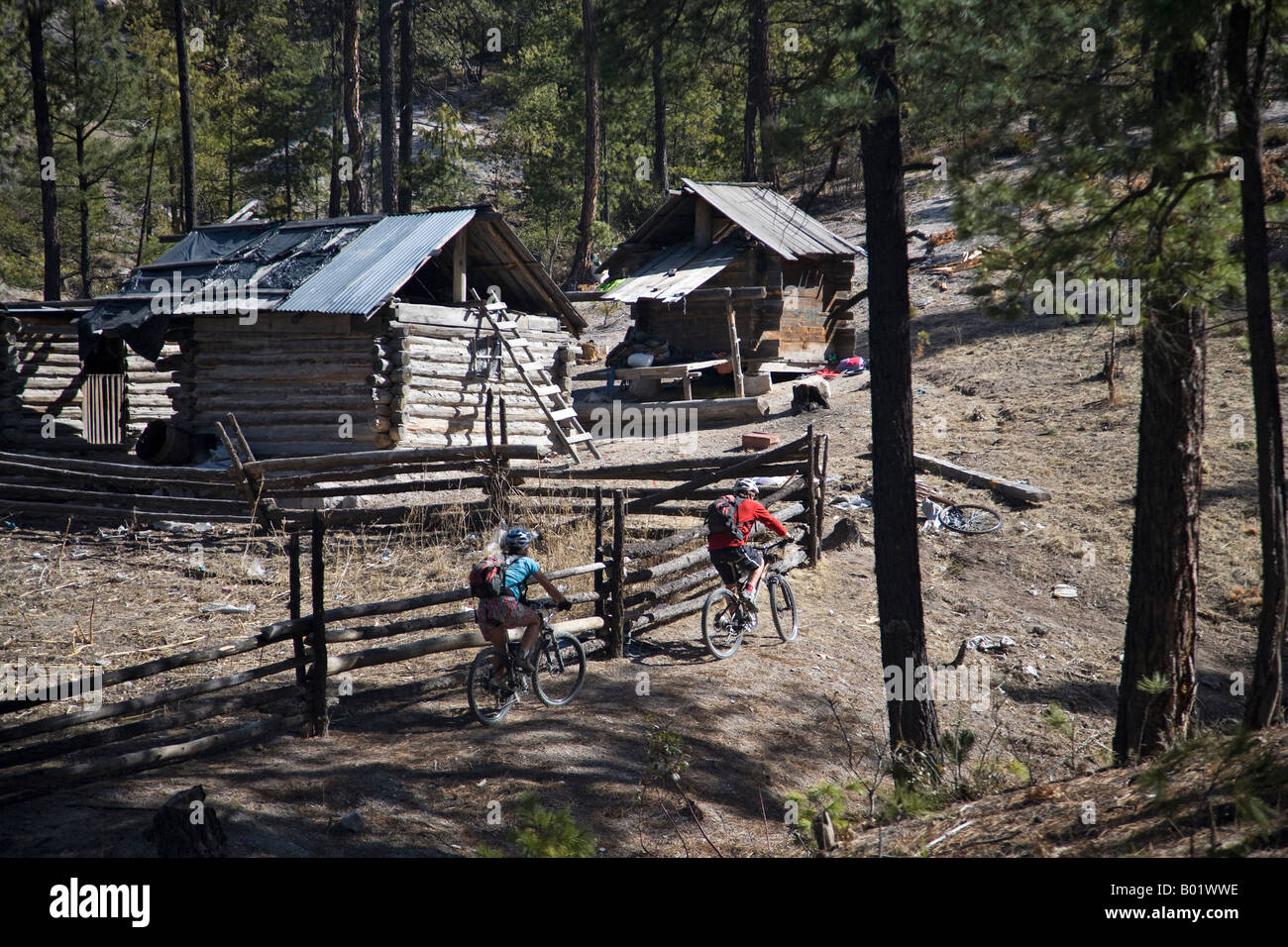 Rachel Schmidt und Scott Davis Mountainbiken im Bereich "Cusarare" im Bereich "Copper Canyon" Mexiko Stockfoto