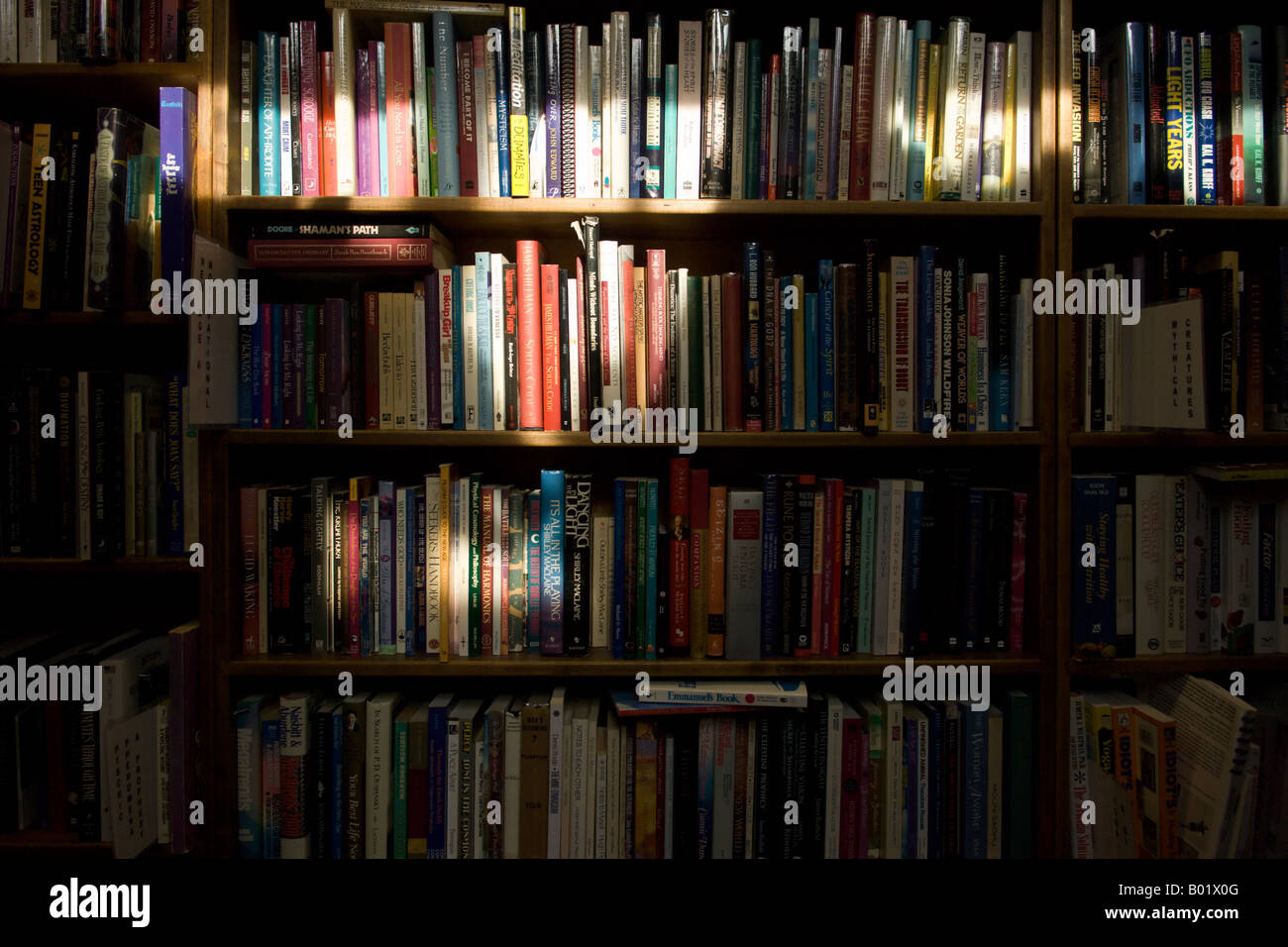 Bücher auf den Regalen in ein gebrauchtes Buch-Shop Stockfoto