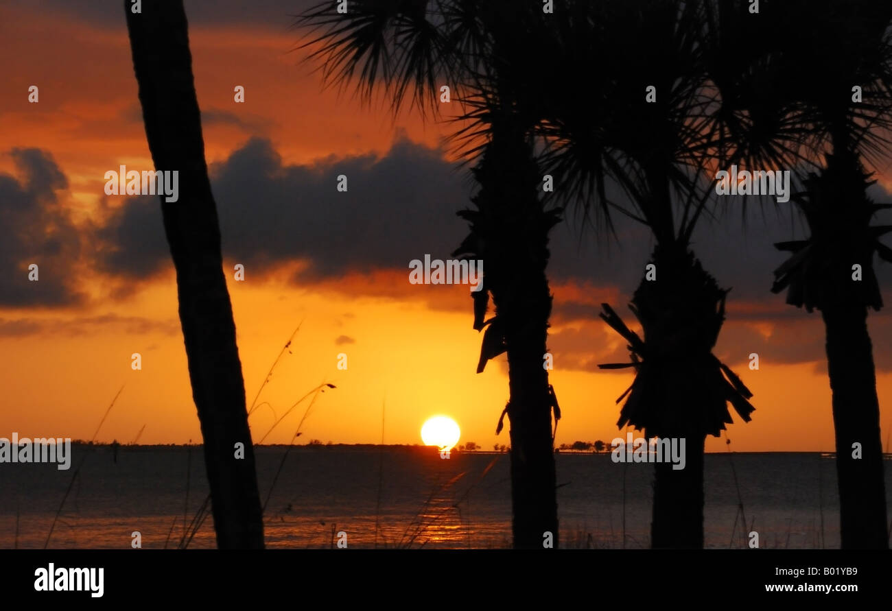 Ein schöner Blick auf einen Sonnenuntergang Blick warf einige Palmen Stockfoto