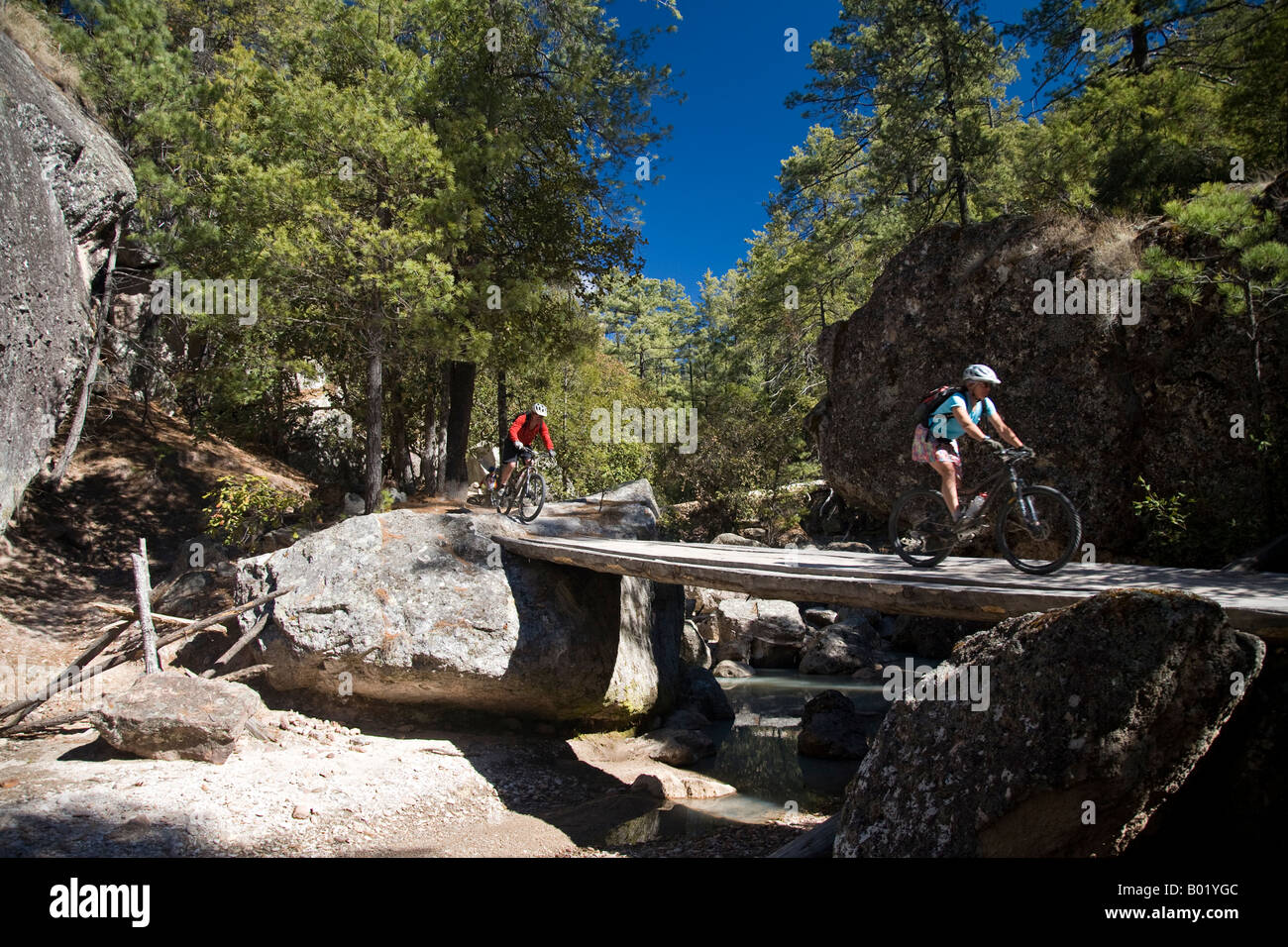 Rachel Schmidt und Scott Davis Mountainbiken im Bereich "Cusarare" im Bereich "Copper Canyon" Mexiko Stockfoto