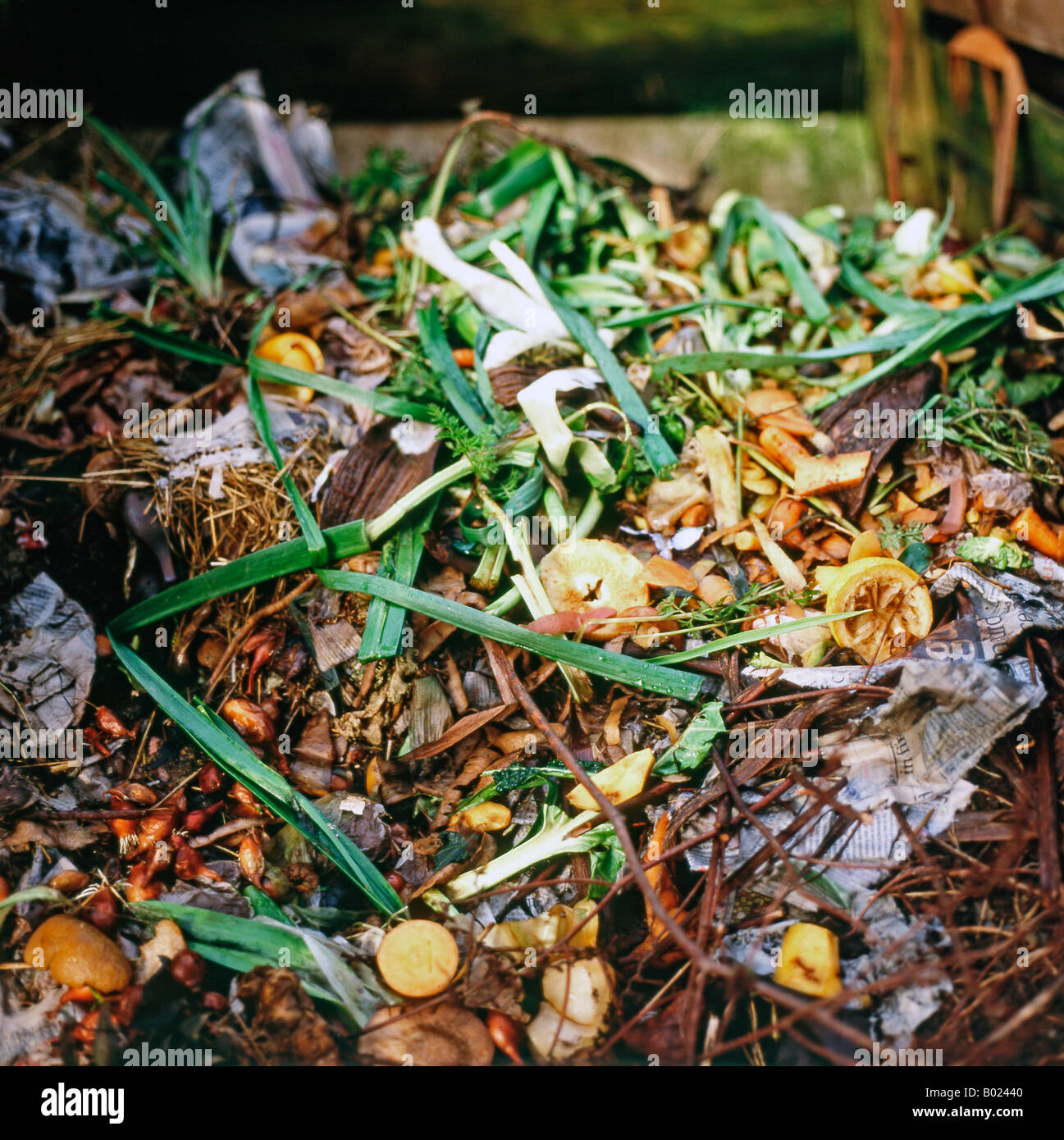 Ein Haufen verwesender Gemüse im Garten Komposthaufen Carmarthenshire Wales UK KATHY DEWITT Stockfoto