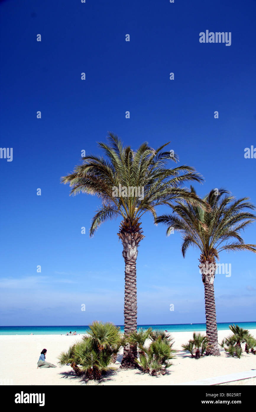 Der Strand von San Vito Lo Capo-Sizilien-Italien Stockfoto