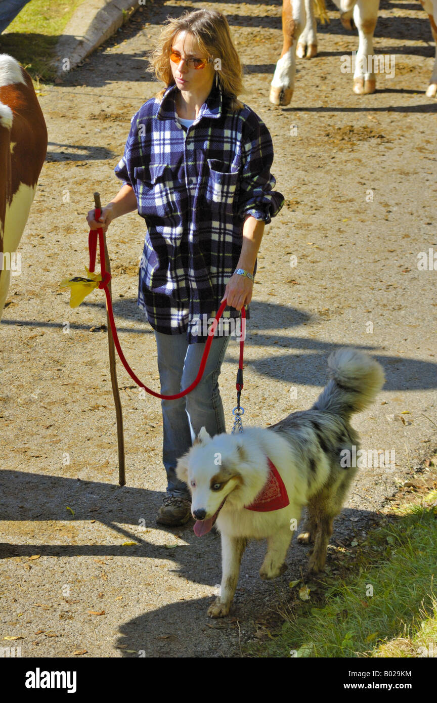 Schweizer cowgirl Stockfoto