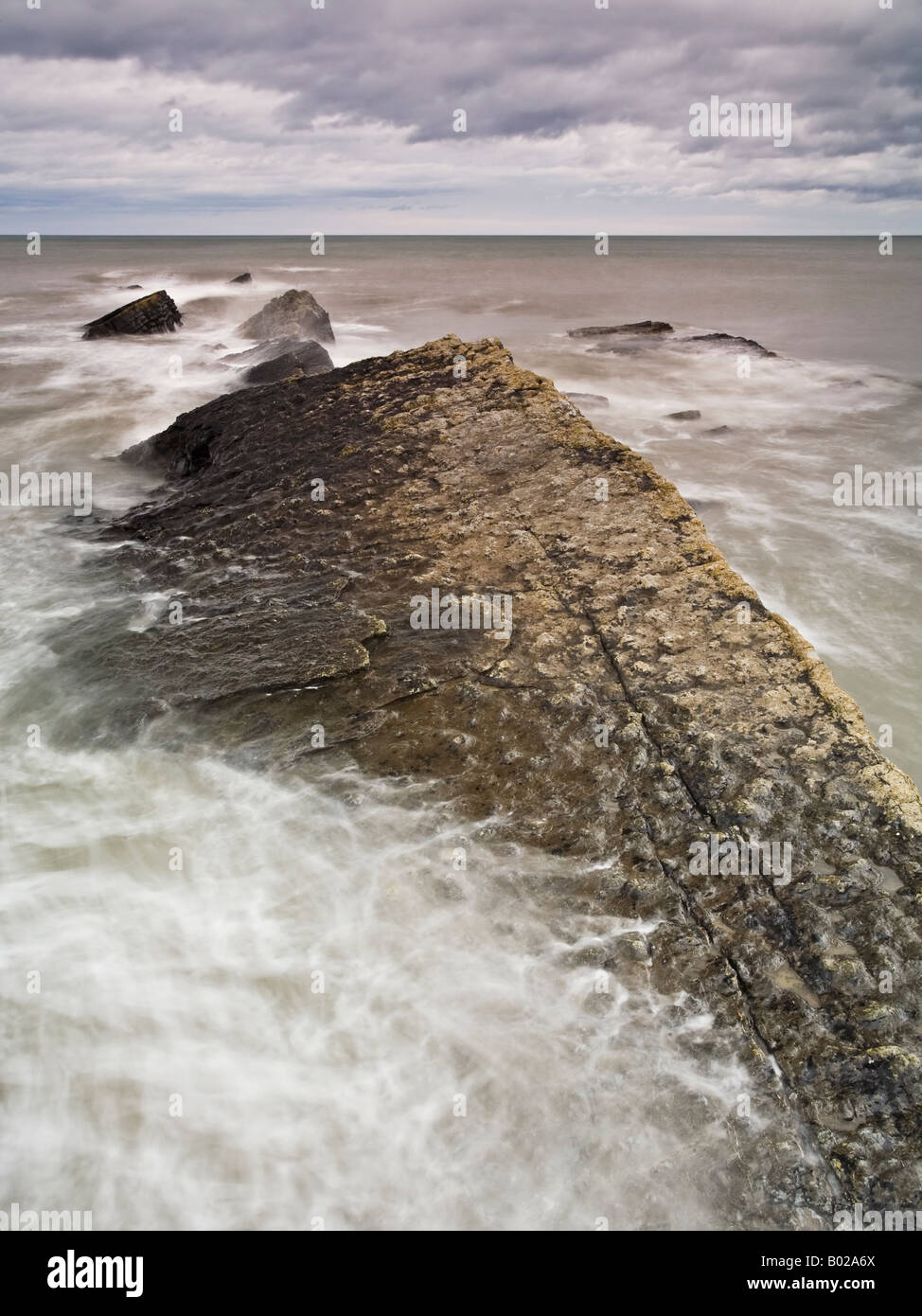 Rock-Regal an der Northumbrian Küste in der Nähe von Howick und Craster, Northumberland, England Stockfoto