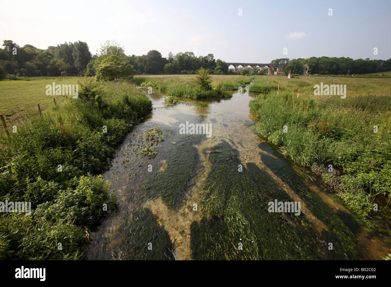 Die Bourne Bach St Mary Bourne Hampshire England UK Stockfoto