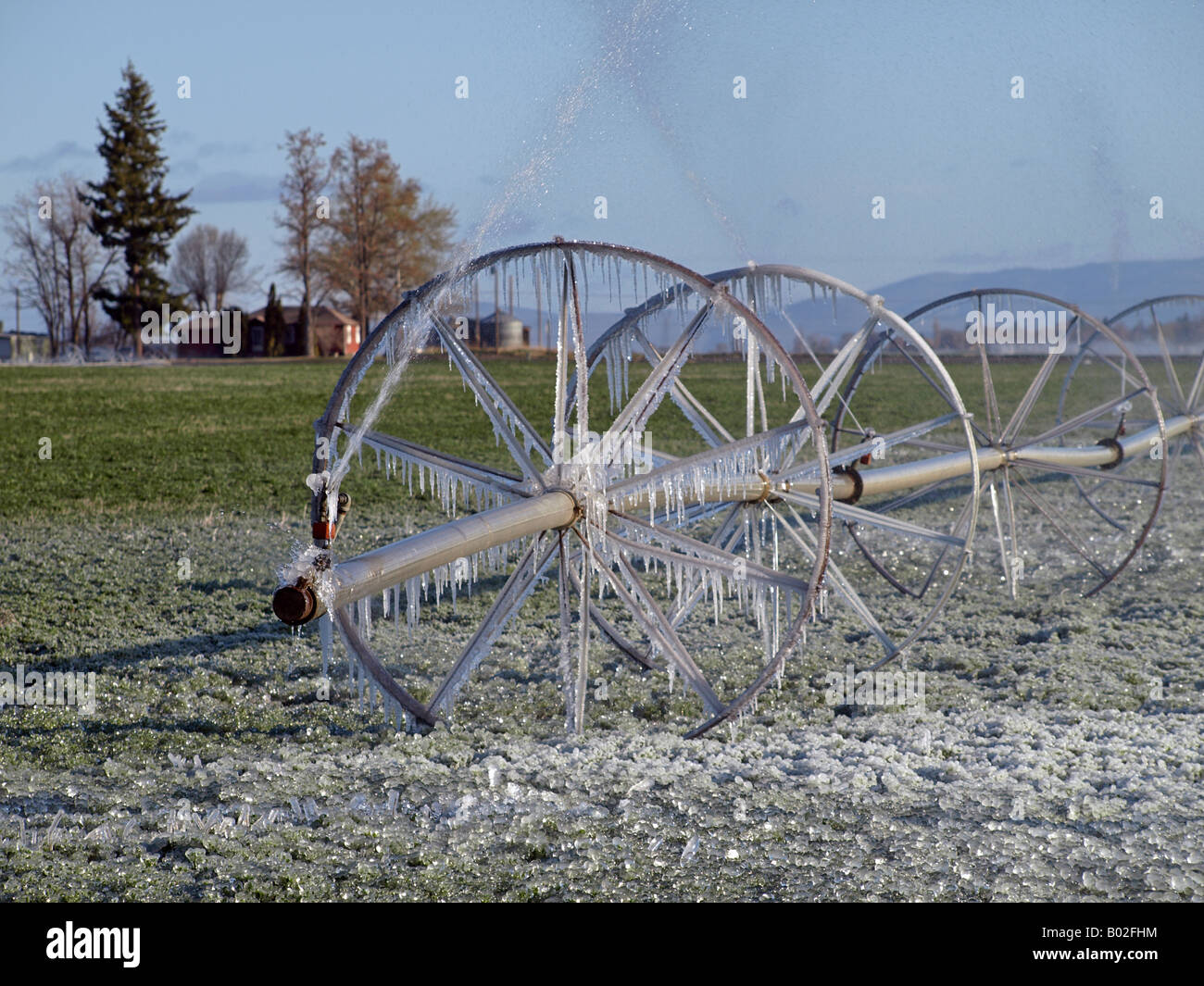 Eiszapfen hängen von einem rollenden Bewässerung-Rad auf einer Knoblauch-Farm in Madras in Zentral-Oregon im April Frühling Stockfoto
