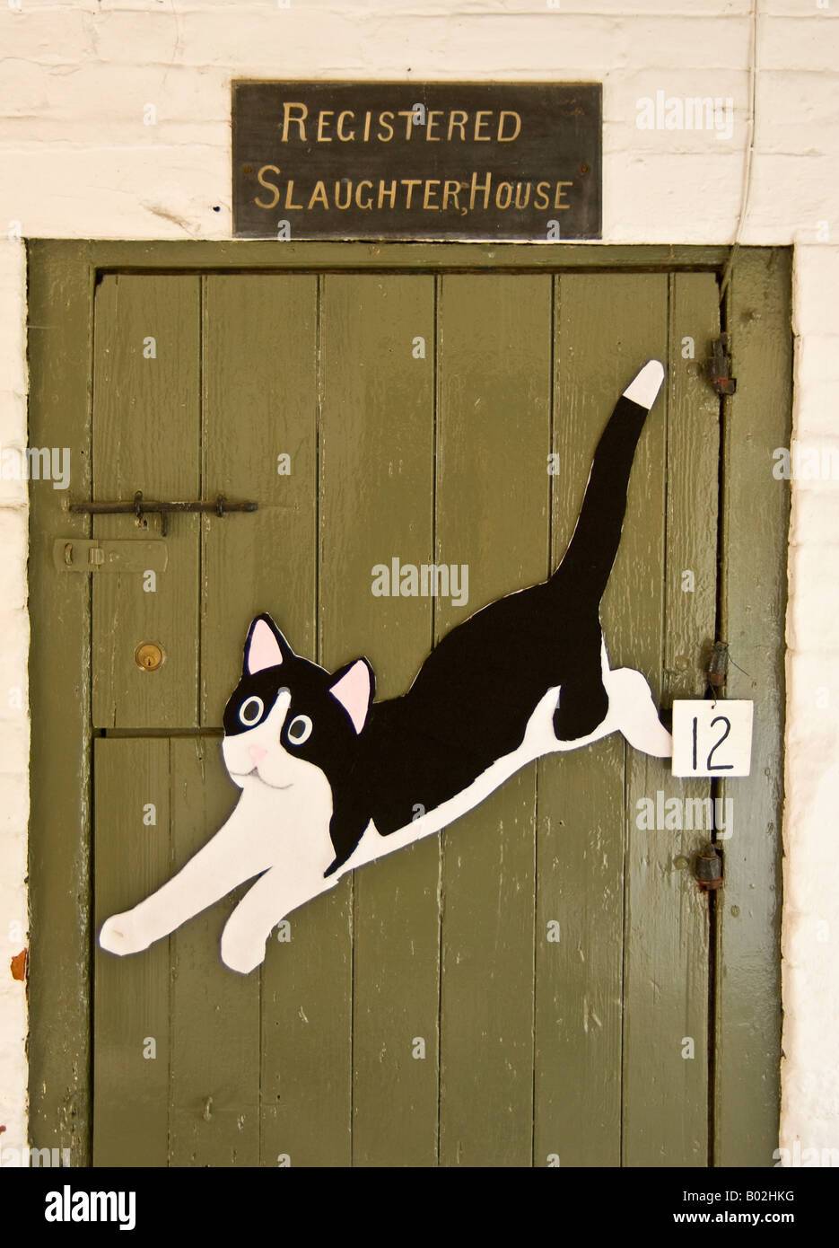 Katzeneintrag -Fotos und -Bildmaterial in hoher Auflösung – Alamy