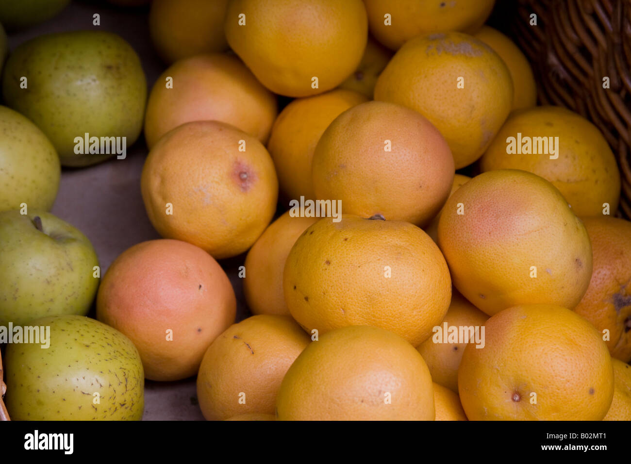 Bio-Orangen in Norwich-Markt Stockfoto