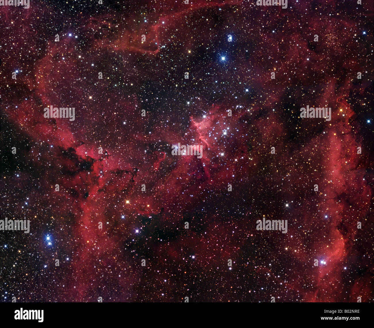 IC1805 im Cassiopeia Stockfoto