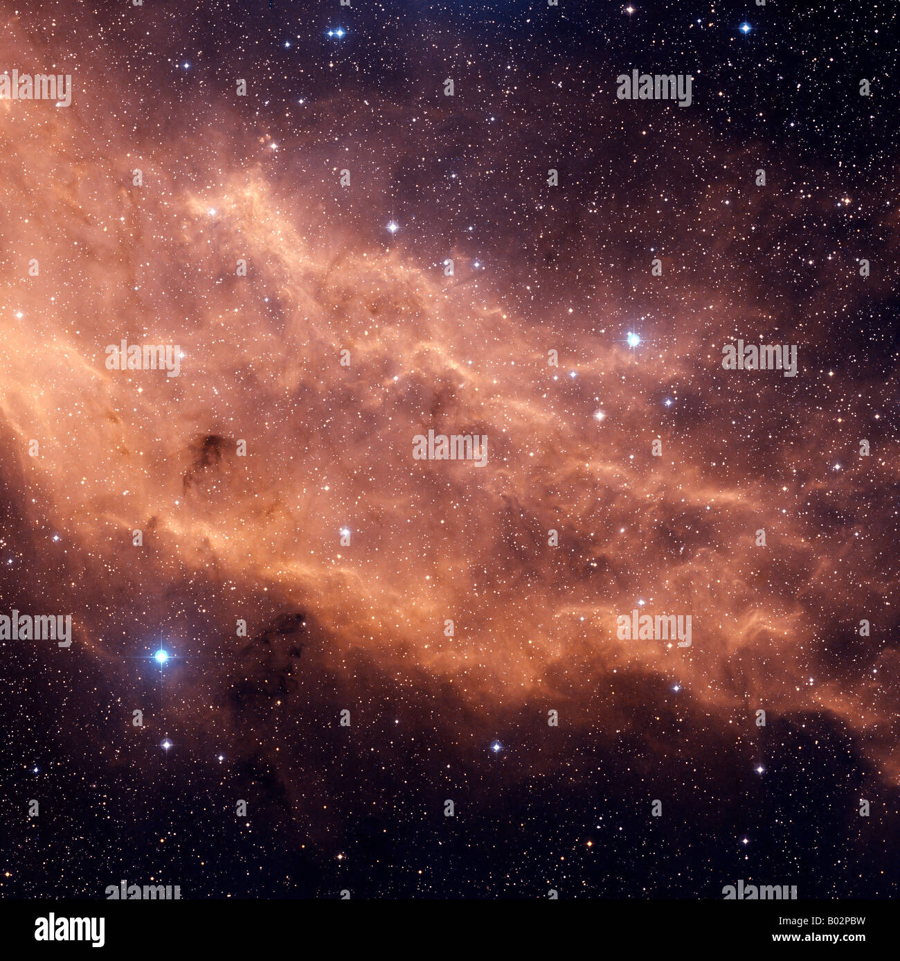 Der California-Nebel (NGC 1499) ist ein Emissionsnebel im Sternbild Perseus liegt. Stockfoto