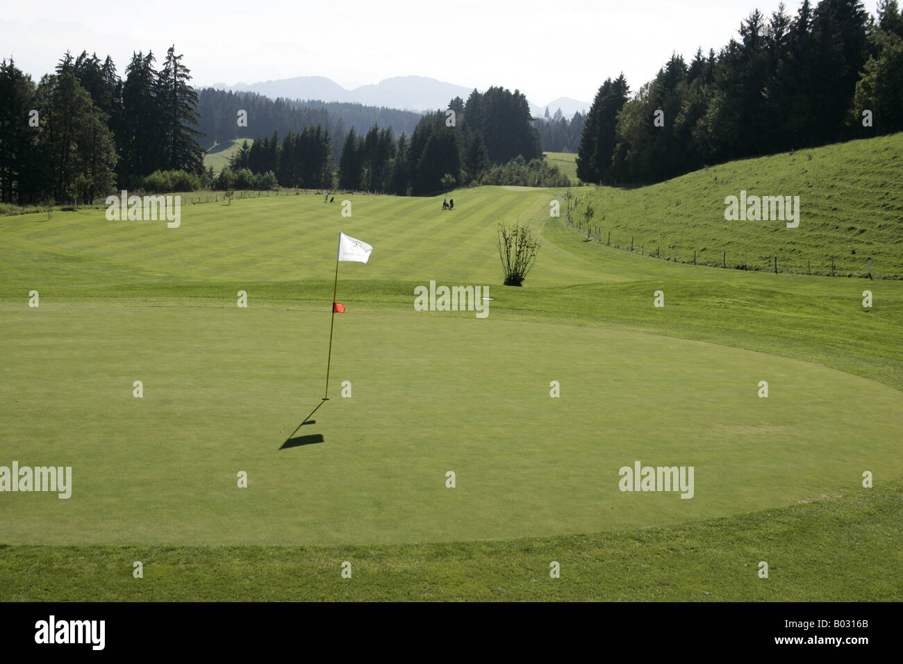 Flagge auf grün im Loch 6, Golfplatz Gsteig in Bayern, Deutschland Stockfoto