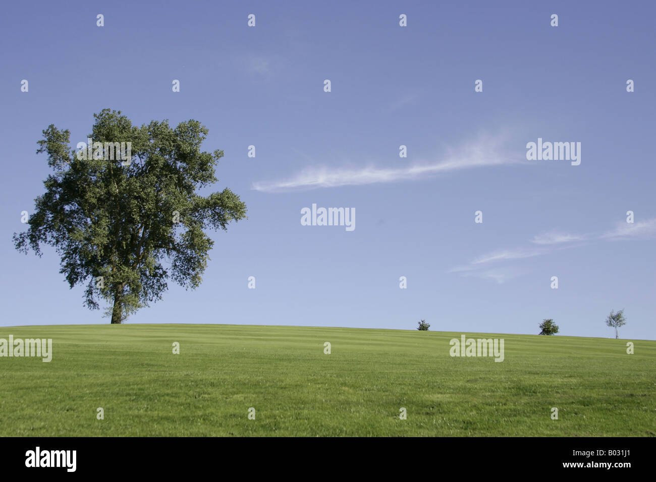 Blick auf einen Golfplatz fairway Stockfoto