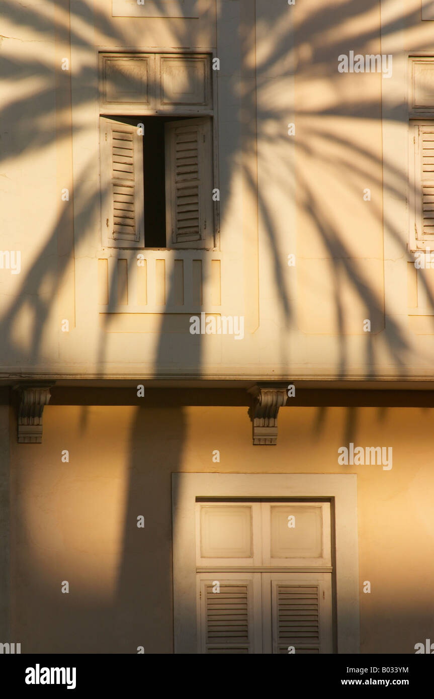 Palmenschatten auf dem Gebäude in Spanien Stockfoto