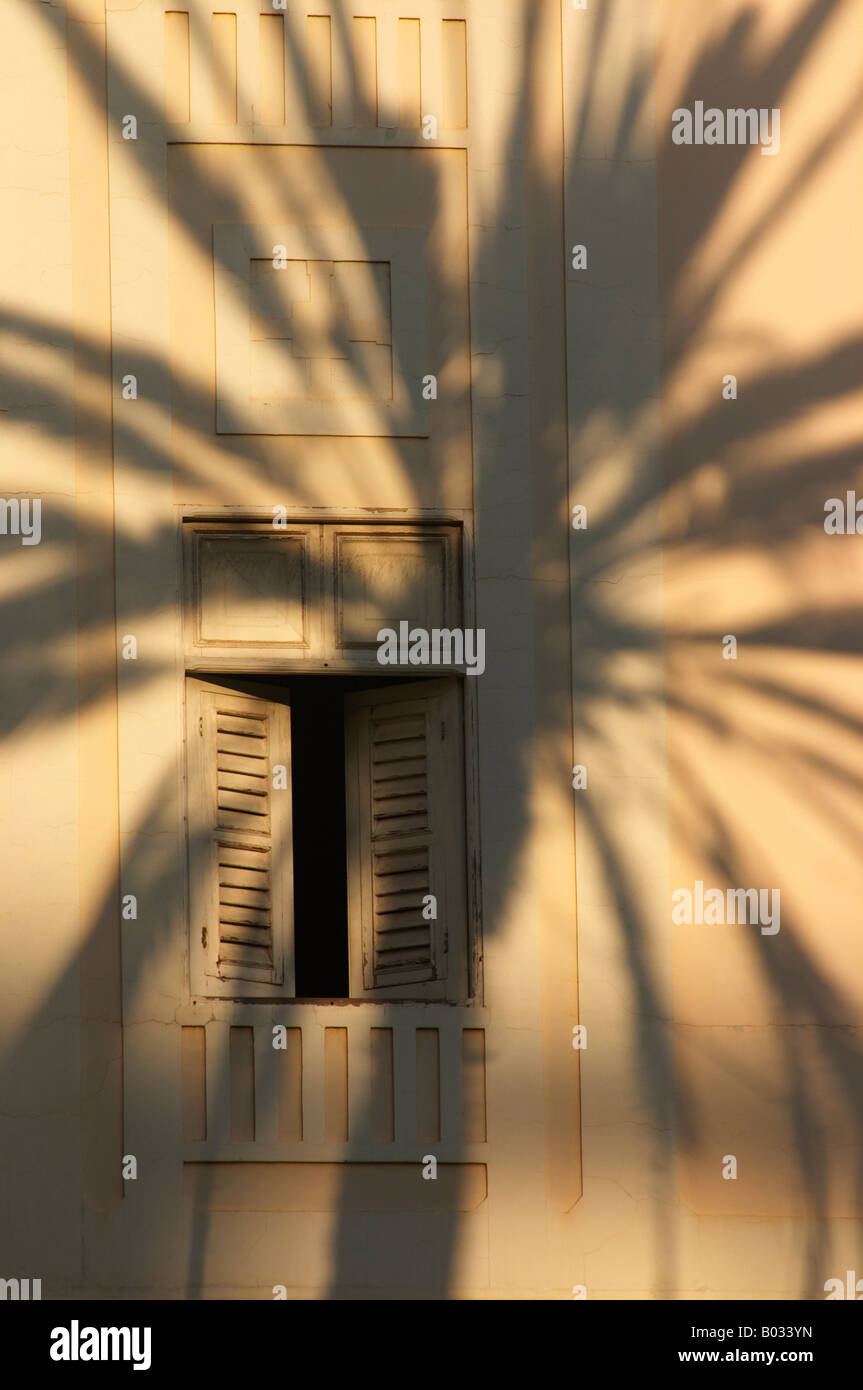 Palmenschatten auf dem Gebäude in Spanien Stockfoto