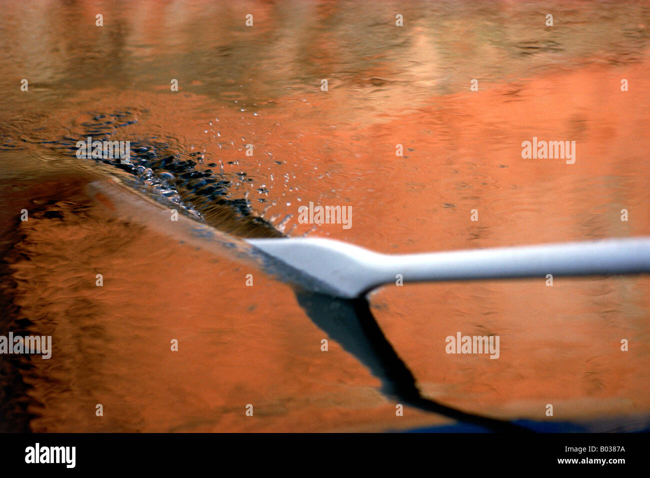 Ruder schneiden durch ruhige Kolorado Fluß Wasser reflektiert goldene Mauern des Grand Canyon Stockfoto
