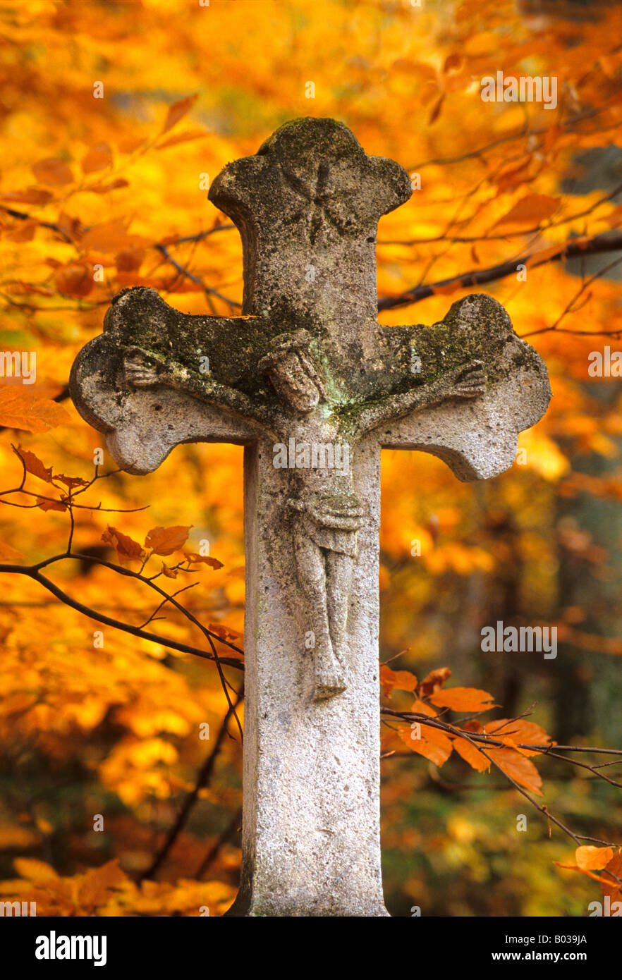Roztocze griechisch-katholischen Friedhof. Stockfoto