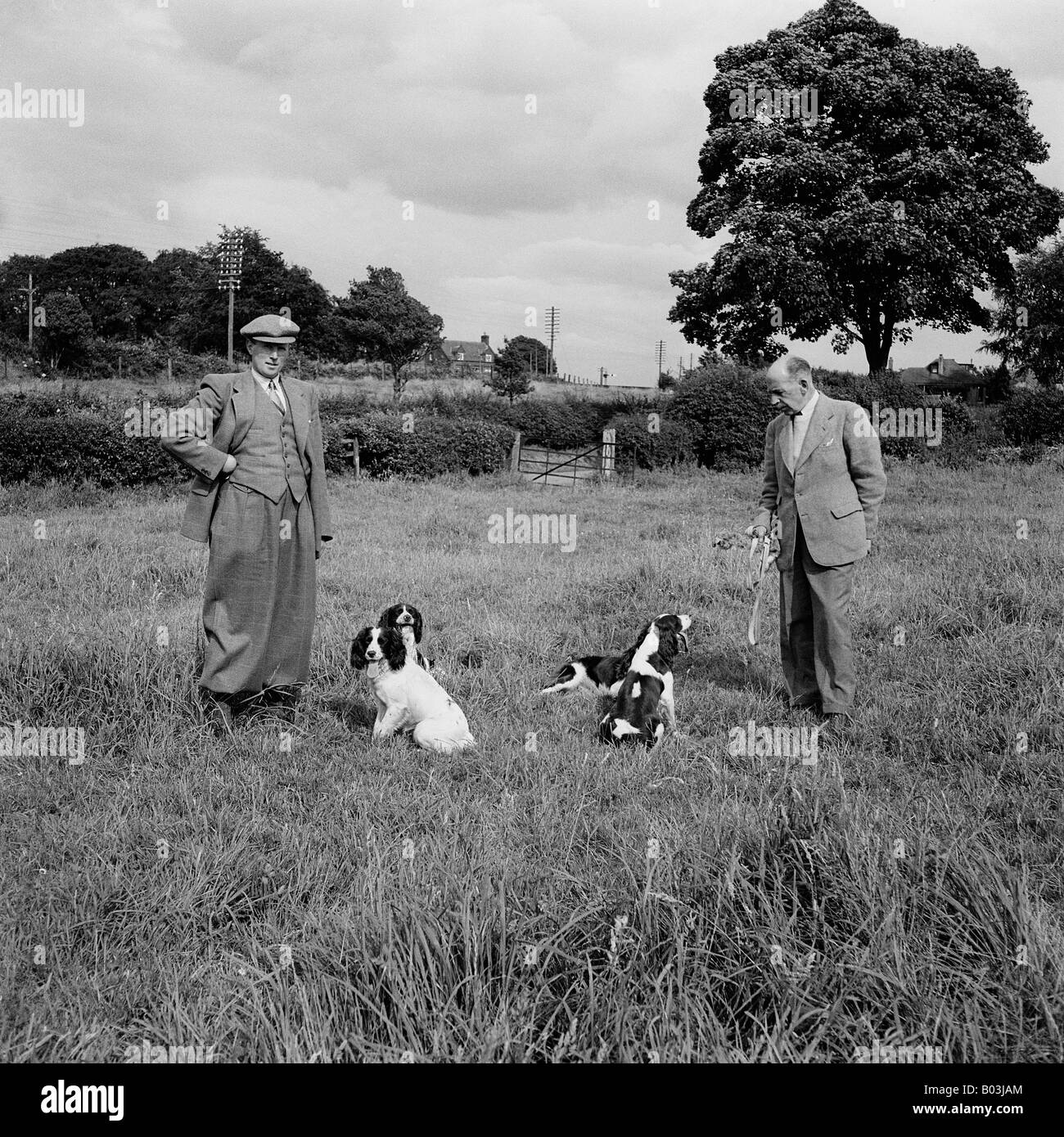 ALTE VINTAGE FAMILIE SNAPSHOT AUFNAHME ZWEIER MÄNNER TWEED LAND TRAGEN KLEIDUNG IN FELD MIT ZWEI HUNDEN Stockfoto