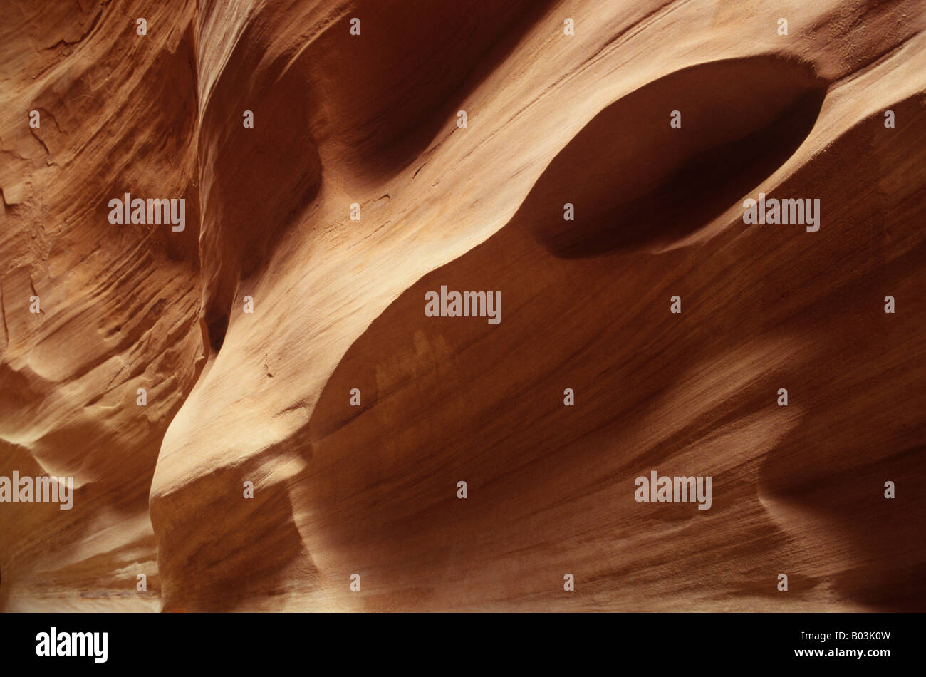 Sandstein-Detail, Dry Fork von Coyote Gulch, Grand Staircase Escalante National Monument, Utah, USA Stockfoto