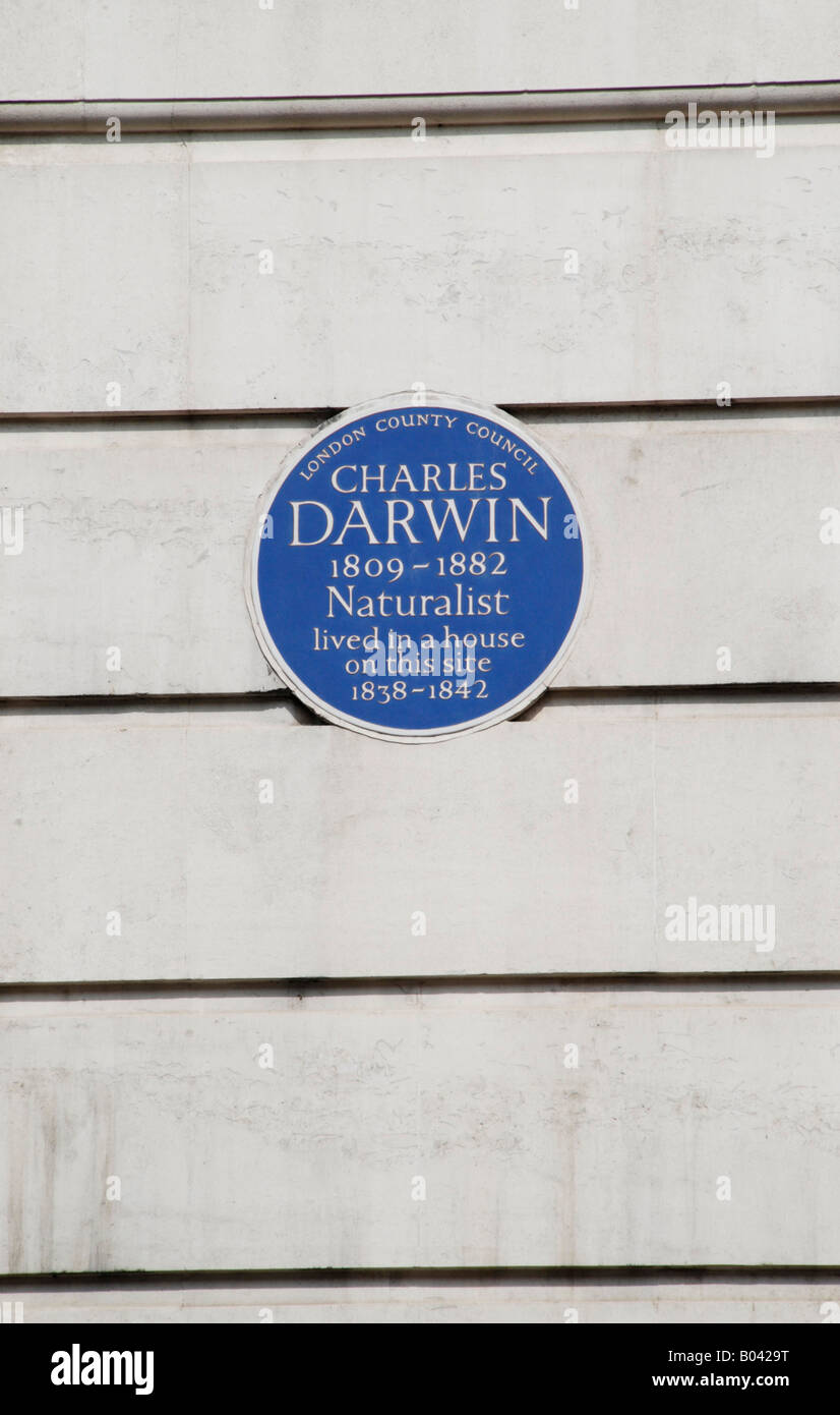 London County Council blaue Plakette außerhalb University College London Kennzeichnung der Website Charles Darwin lebte Stockfoto