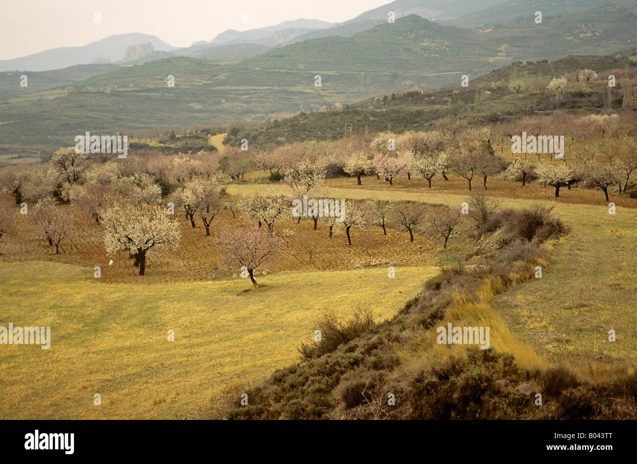 Spanien-Landschaft Pyrenäen in Aragon Stockfoto