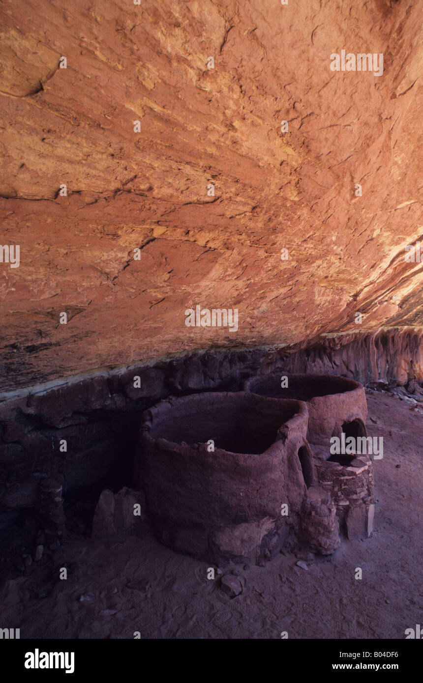 Pferd-Kragen-Ruine, Natural Bridges National Monument, Utah, USA Stockfoto