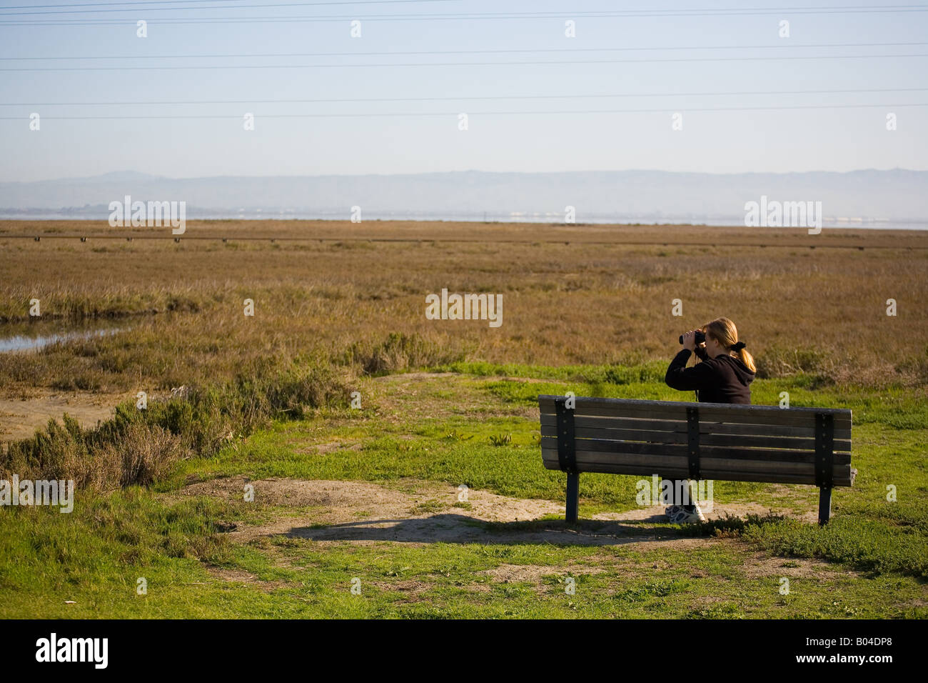 Vogelbeobachtungen von bench Stockfoto