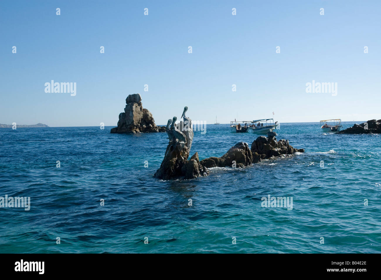 Pelikane auf einem Felsen in der Nähe von Los Arckos Cabo San Lucus Stockfoto