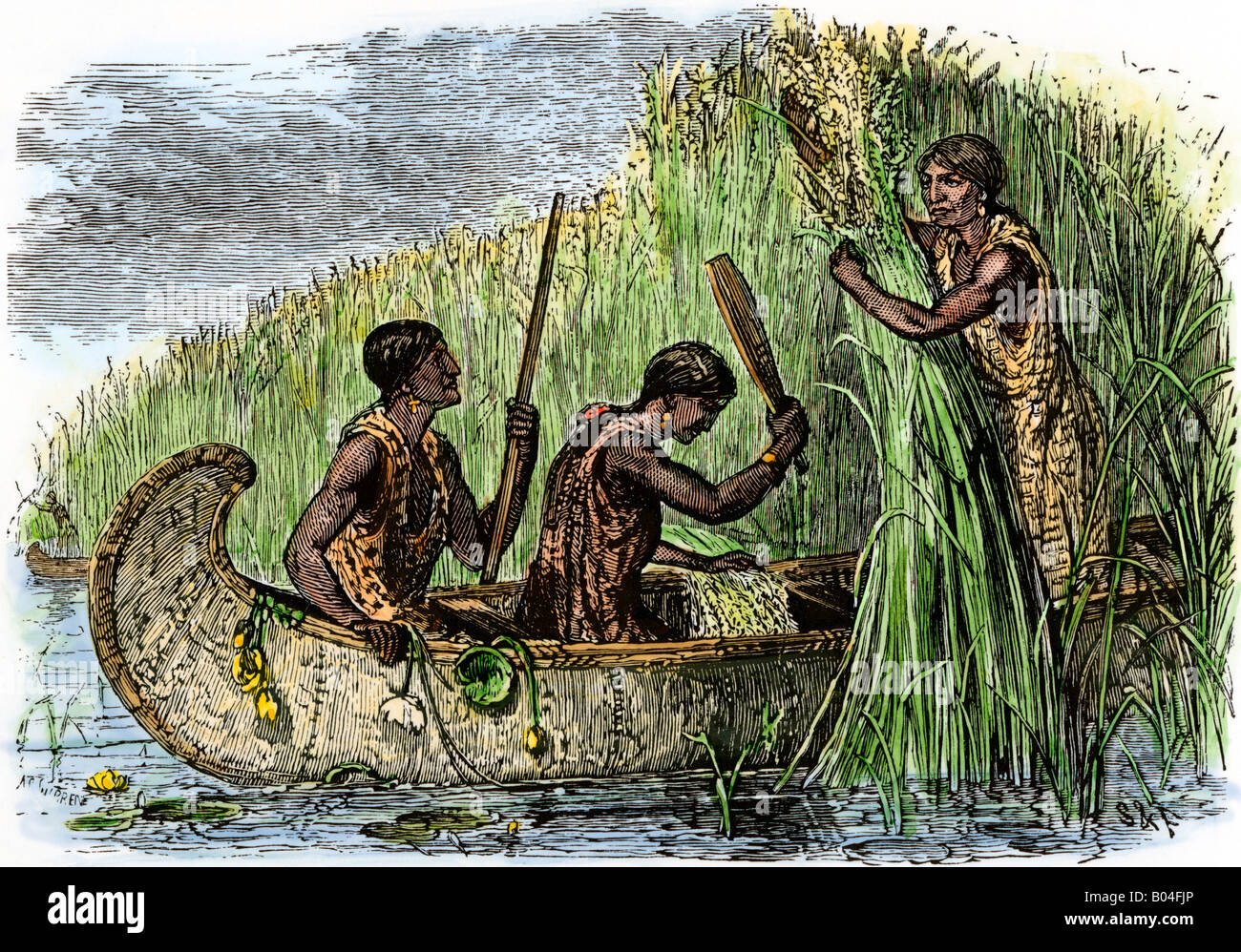 Native American Frauen Sammeln wilder Reis durch Dreschen in Ihr Kanu. Hand - farbige Holzschnitt Stockfoto