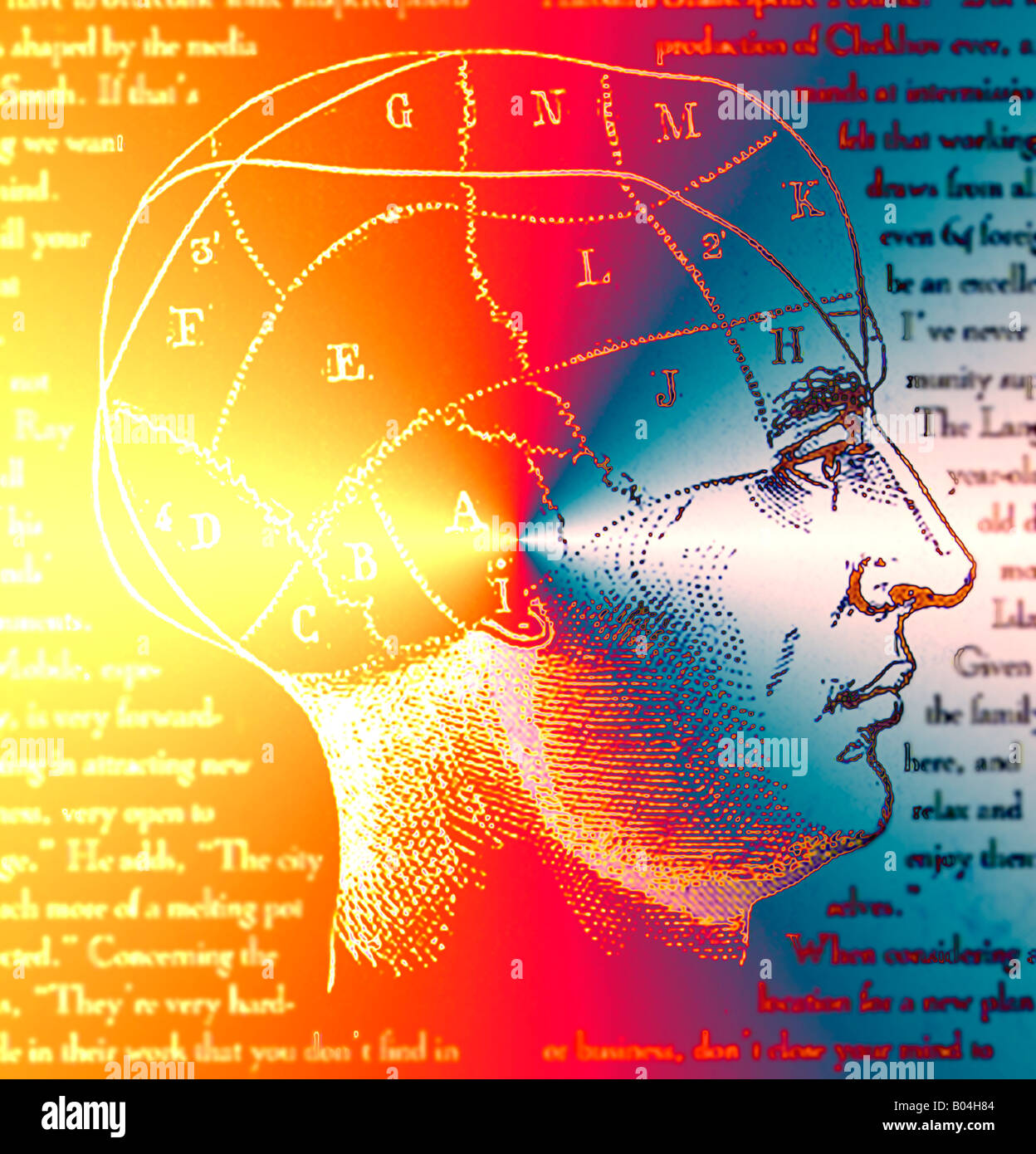 Zeichnung von den Bereichen des Gehirns und der Phrenologie Antik Stockfoto