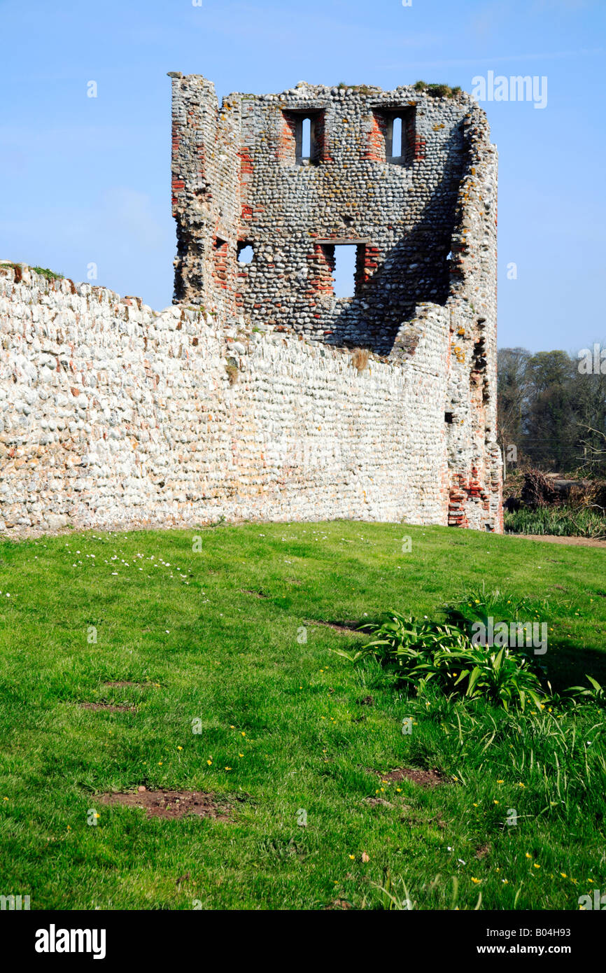 Vorhang-Wand und Ruined Turm auf Nordost-Ecke der Baconsthorpe Burg, in der Nähe von Holt, Norfolk, Großbritannien. Stockfoto