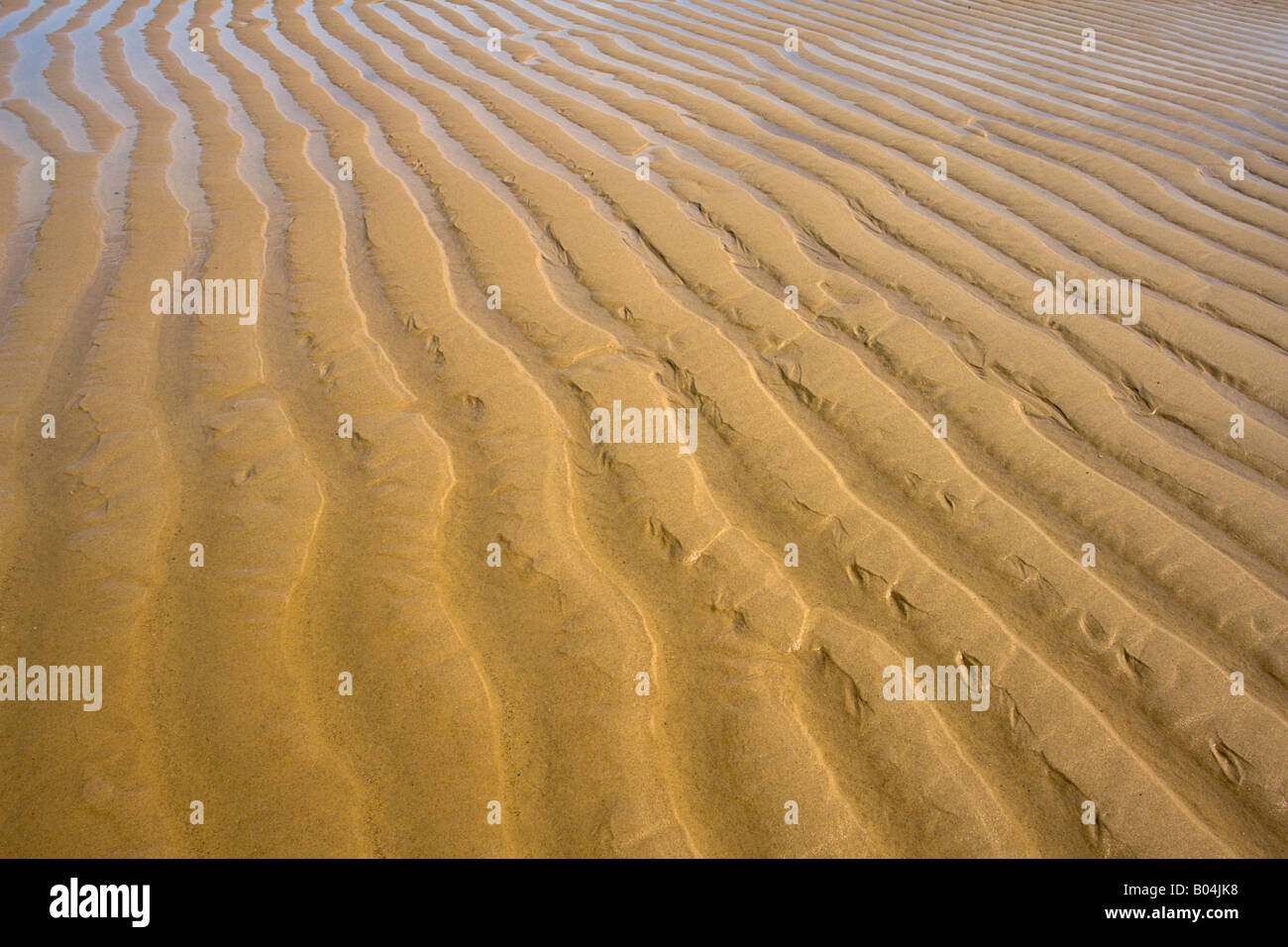 Muster in den sand Stockfoto