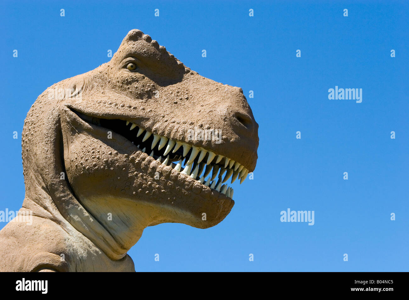 LifeSize Tyrannosaurus Rex im Dinosaur Valley State Park Stockfoto