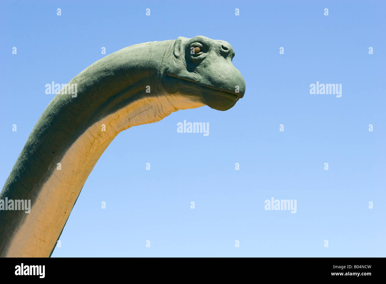 LifeSize Apatosaurus im Dinosaur Valley State Park Stockfoto