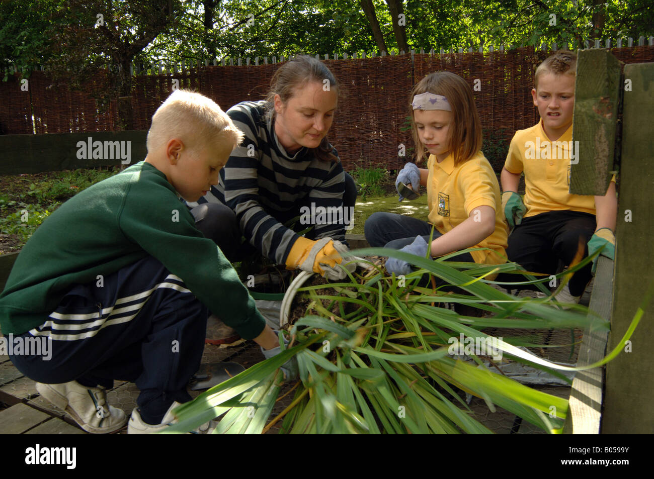 Kinder graben in eine Schule Teich im Rahmen des nach der Schule grün Turnhalle Trainingsloipe ein Pilotprojekt von der BTCV Neuanlagen Stockfoto