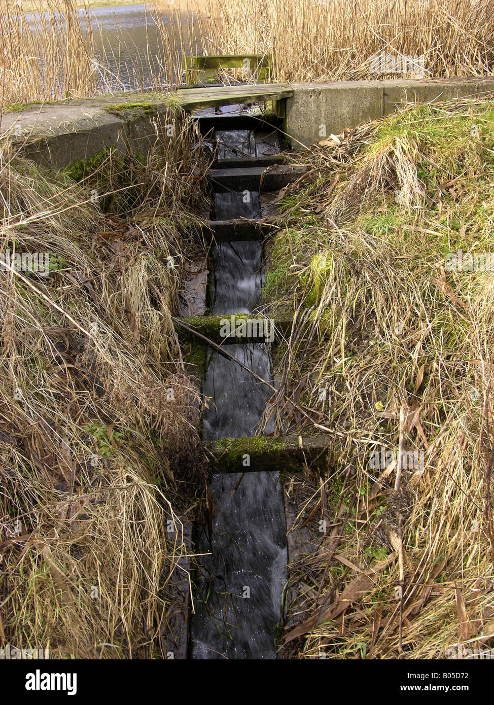 Fischtreppe, Dänemark Stockfoto