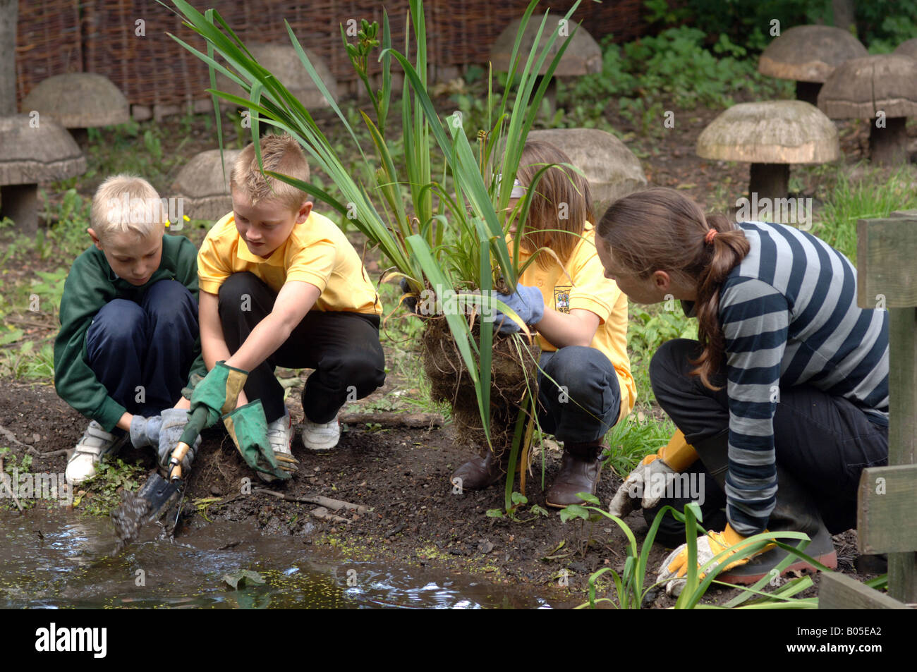 Kinder graben in eine Schule Teich im Rahmen des nach der Schule grün Turnhalle Trainingsloipe ein Pilotprojekt von der BTCV Neuanlagen Stockfoto