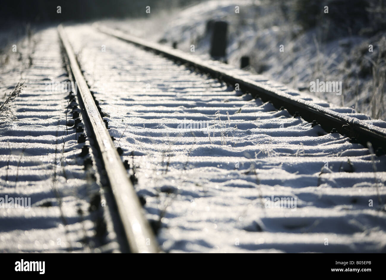 gefrostet Bahn Linie, Deutschland, Sachsen Stockfoto