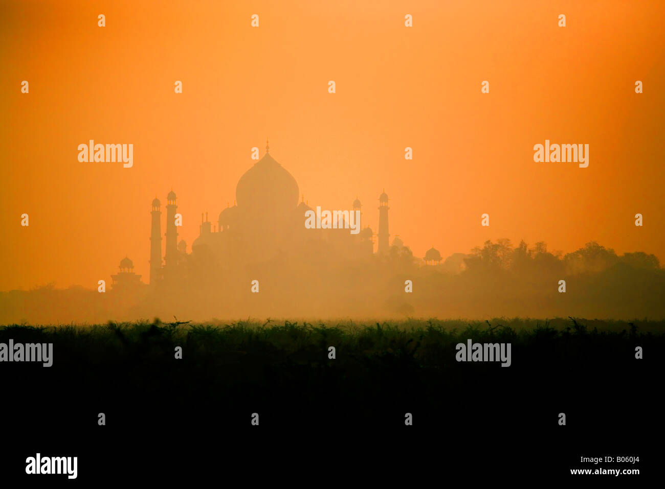 Sonnenaufgang über dem Taj Mahal, Agra, Indien Stockfoto