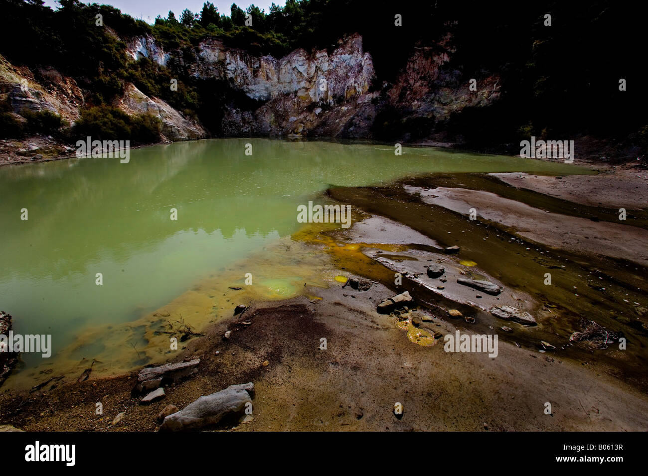 Eine grüne Erdwärme Pool im Wai O Tapu heiligen Wassern, See Ngakoro Stockfoto