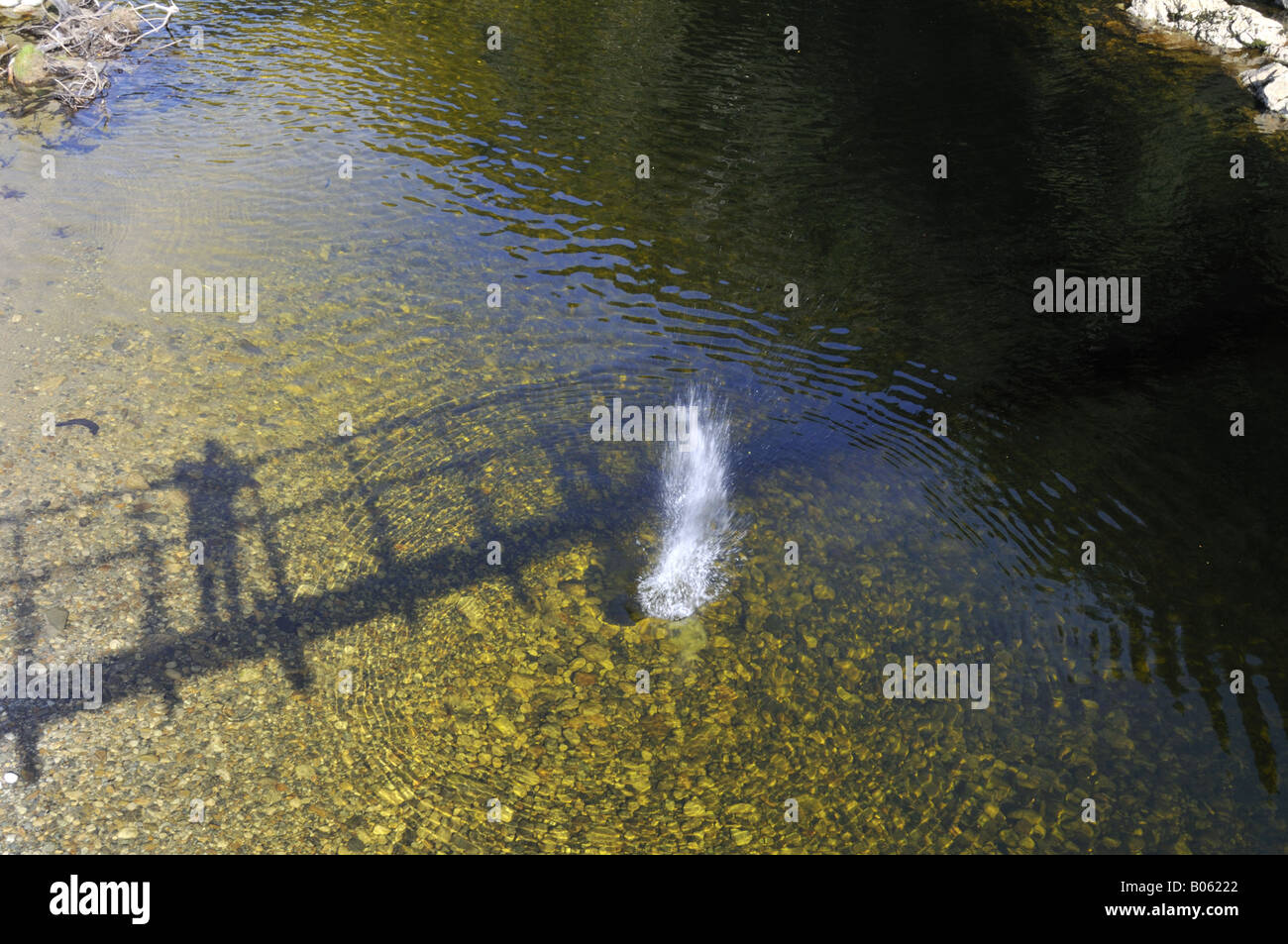Stein-Splash in Inangahua River Südinsel Neuseeland Stockfoto