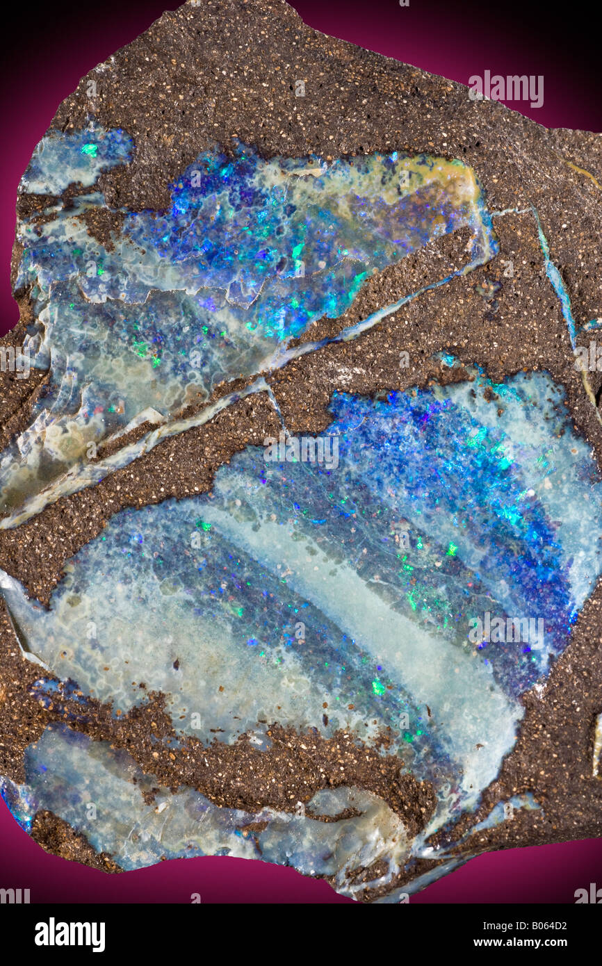 Opal Vielzahl kostbare Opal Lightning Ridge New South Wales Australia Stockfoto