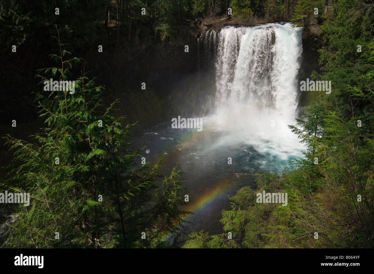 Koosah fällt mit doppelter Regenbogen McKenzie Fluss Willamette National Forest Cascade Mountains Oregon Stockfoto