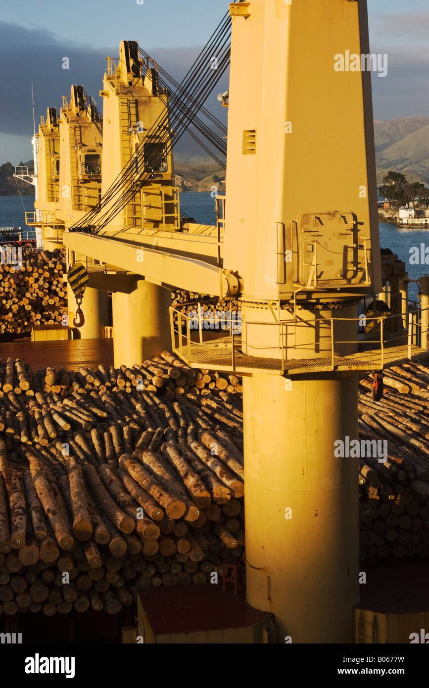 Eine volle Ladung der Protokolle auf dem Deck eines Schiffes zur Abfahrt bereit Stockfoto