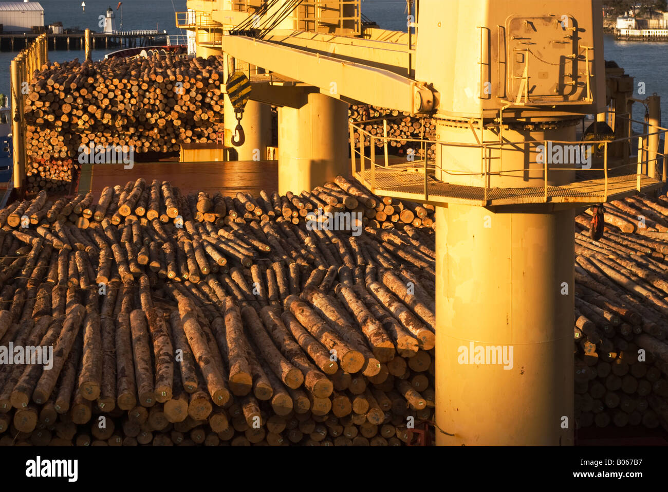 Eine volle Ladung der Protokolle auf dem Deck eines Schiffes zur Abfahrt bereit Stockfoto