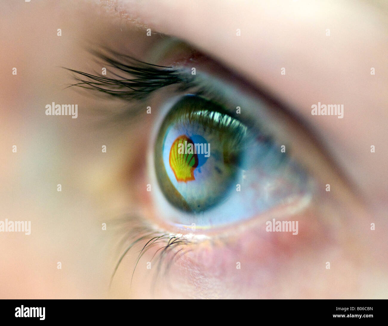 Shell Öl Firmenlogo wider vom Computerbildschirm auf Womans Auge 2008 Stockfoto